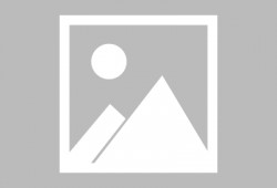 林州吃货最新爆料新闻,林州吃货最新爆料揭秘独家美味